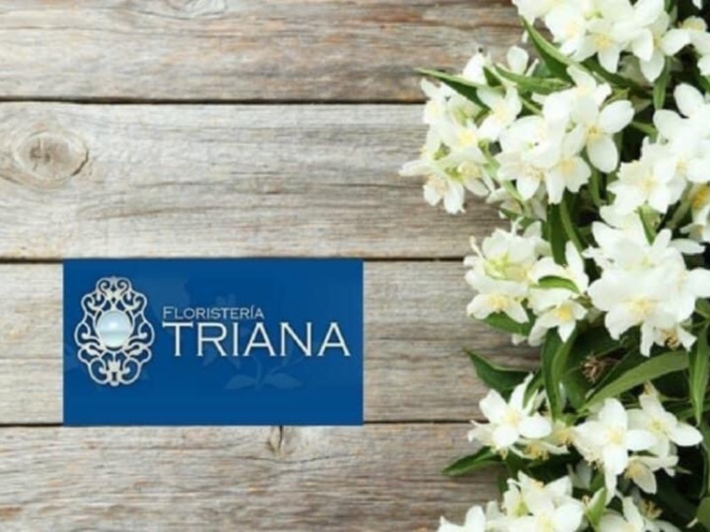 Floristería Triana. Flores blancas sobre fondo de madera. Logotipo azul con símbolo floral.