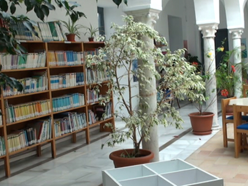 Un interior de una biblioteca con estanterías llenas de libros, plantas decorativas y mesas con sillas. La atmósfera es tranquila y acogedora, ideal para la lectura y el aprendizaje.