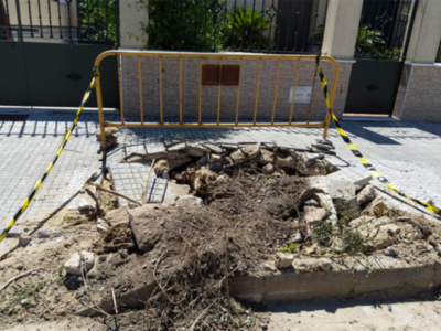 Parques y Jardines retira 16 árboles en mal estado en la avenida del Esturión y anuncia la plantación de 40 
