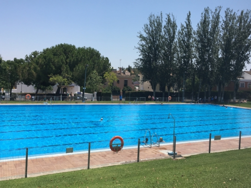 Piscina municipal con nadadores y árboles alrededor bajo un cielo azul claro.