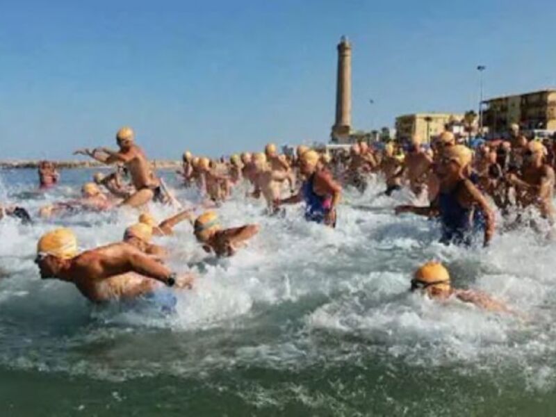 Competidores en una carrera de natación en aguas abiertas, con un faro en el fondo.