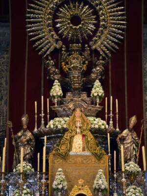 Cultos de Novena  a la Patrona de Sevilla y su Archidiócesis, la Virgen de los Reyes.