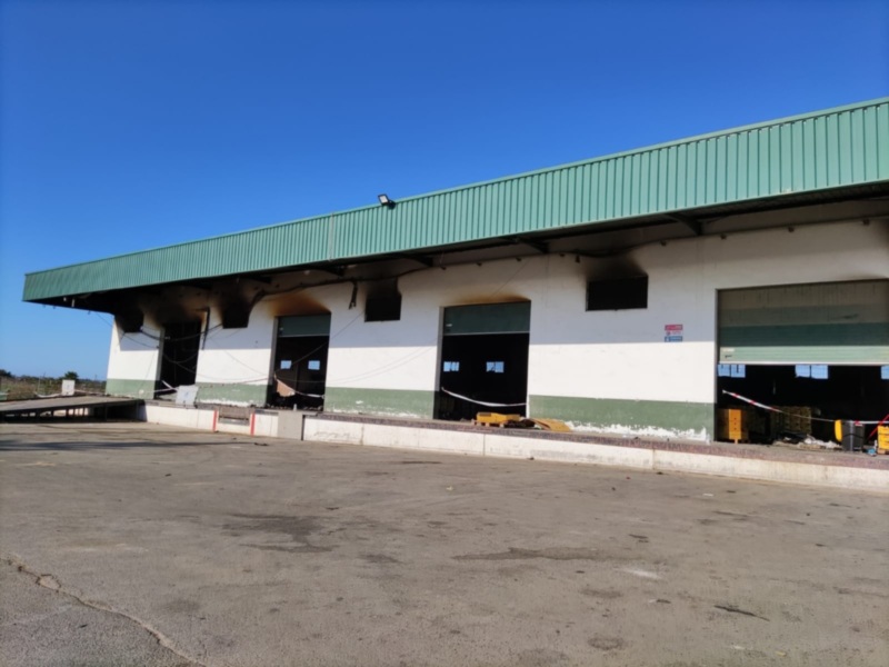 Edificio industrial con puertas de garaje y techos verdes. Suelo despejado, cielo azul claro.