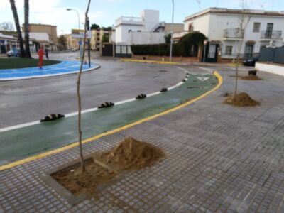 Comienza la plantación de 30 árboles de la especie júpiter en la zona de acerado renovada en la avenida del Esturión
