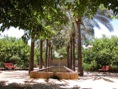 20 años de la Buhaira, los jardines declarados por la UNESCO, Bien de Interés Cultural más premiados de Sevilla.