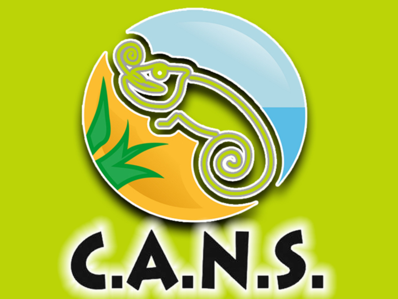 Logotipo de C.A.N.S., con un camaleón en el centro y hojas a su alrededor, sobre fondo verde.