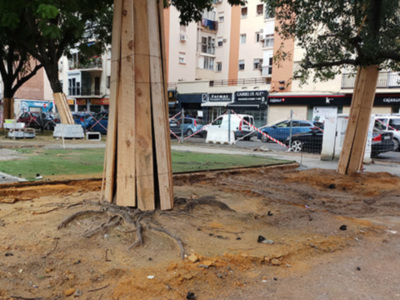 Graves daños en el arbolado de la Plaza de Pepe Da Rosa en Sevilla.