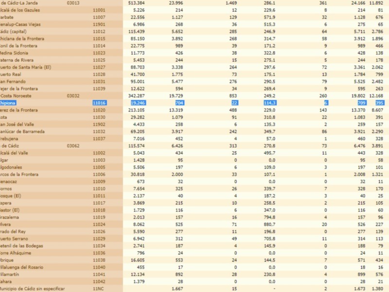 Pié de foto: Datos estadísticos sobre el número de casos de COVID-19 en Cádiz, España.
