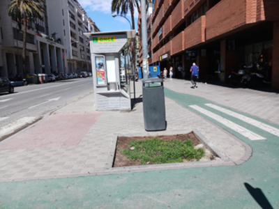 Miles de alcorques sin plantas, en mal estado de mantenimiento.