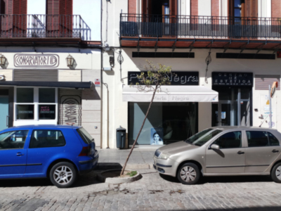 La falta de riego provoca la deshidratación de las plantas en alcorques y jardines de Sevilla.