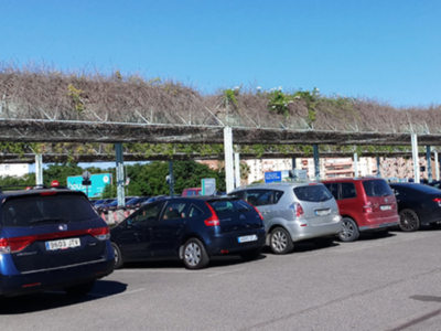 El abandono de las zonas verdes públicas de Sevilla, una mala imagen para la ciudad.