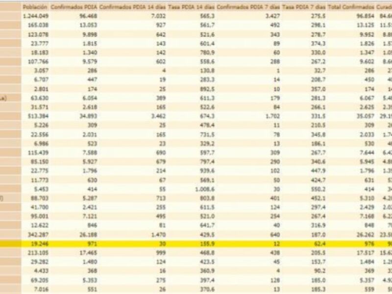 Gráfico de datos estadísticos sobre casos confirmados y sospechosos en diferentes comunas, con un foco en la comuna de San Fernando.