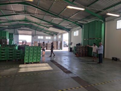 Luis Mario Aparcero y Laura Román valoran la capacidad de reinventarse del sector agrícola en visita a Andalucía Auctions