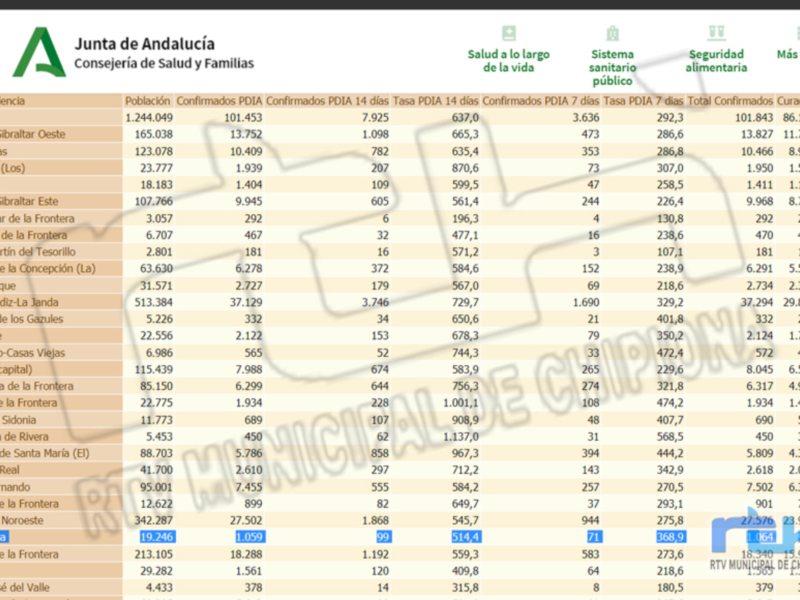 Un informe detallado de la Junta de Andalucía sobre los indicadores de salud y seguridad en el ámbito de la provincia de Cádiz. Se incluyen datos sobre casos confirmados, test positivos y test negativos, así como información sobre la capacidad de respuesta sanitaria pública.