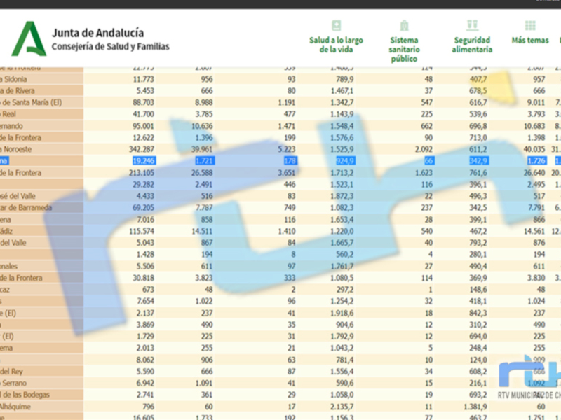 Gráfico de datos sobre salud y seguridad en Andalucía.