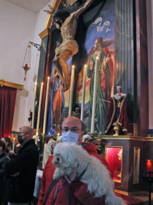 Bendición de animales en la Divina Pastora de Santa Marina de Sevilla