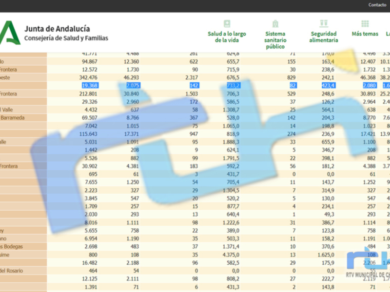 Este es un informe detallado de la Junta de Andalucía, que muestra datos sobre salud, alimentación y seguridad. Incluye información sobre la salud a largo de la vida, el sistema sanitario público y alimentario.