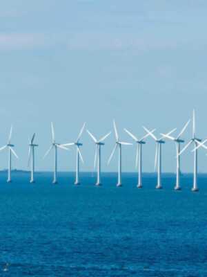 La Delegación de Medio Ambiente muestra su rechazo al proyecto de eólica marina en la bahía de Cádiz