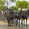 El paseo de caballo en la feria de Sevilla