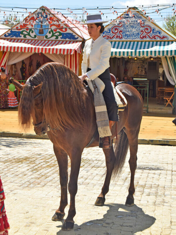 Una imagen de un caballo marrón con una silla de montar y una persona vestida de blanco y negro en el centro. Fondo con tiendas coloridas y un cielo azul claro.