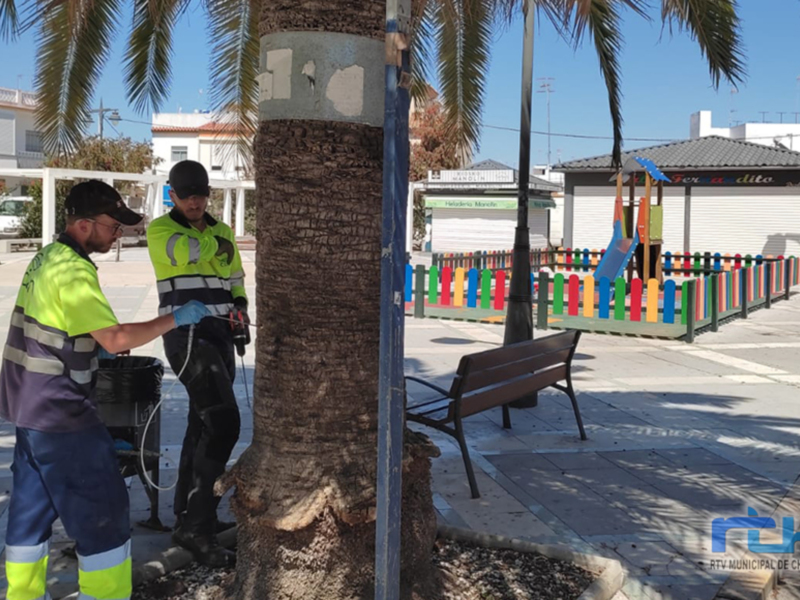 Trabajadores municipales realizando tareas de mantenimiento en un parque urbano.