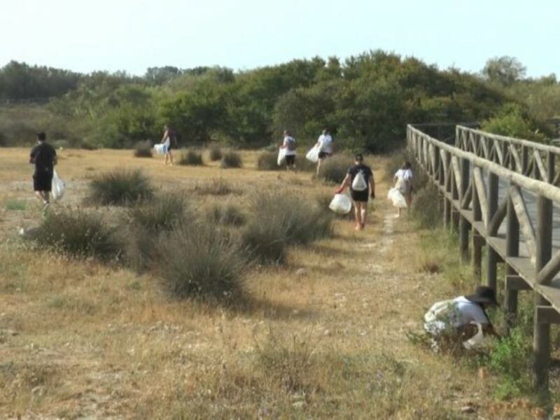 Una imagen de una grupo de personas caminando por un sendero en medio de un paisaje desértico con vegetación baja y arbustos. Algunas personas llevan bolsas de plástico, sugiriendo que están recogiendo basura. El sendero está rodeado por vegetación y hay un puente de madera en el fondo. El cielo es claro y la luz del sol ilumina el entorno.