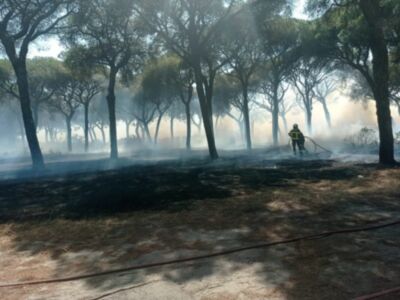 El Concejal Delegado de Medio Ambiente, Sebastián Guzmán, agradece colaboración en el control del incendio originado en la zona del Abulagar
