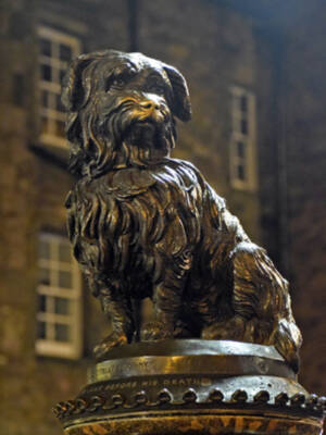 La historia de Bobby, el perro más famoso de Edimburgo.
