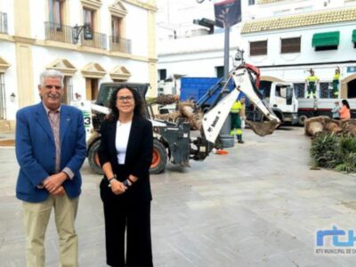 Parques y Jardines coordina los trabajos de plantación de 15 palmeras datileras que se están realizando hoy en la plaza Juan Carlos I 