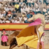 Doble cita con los toros este fin de semana en Canal Sur