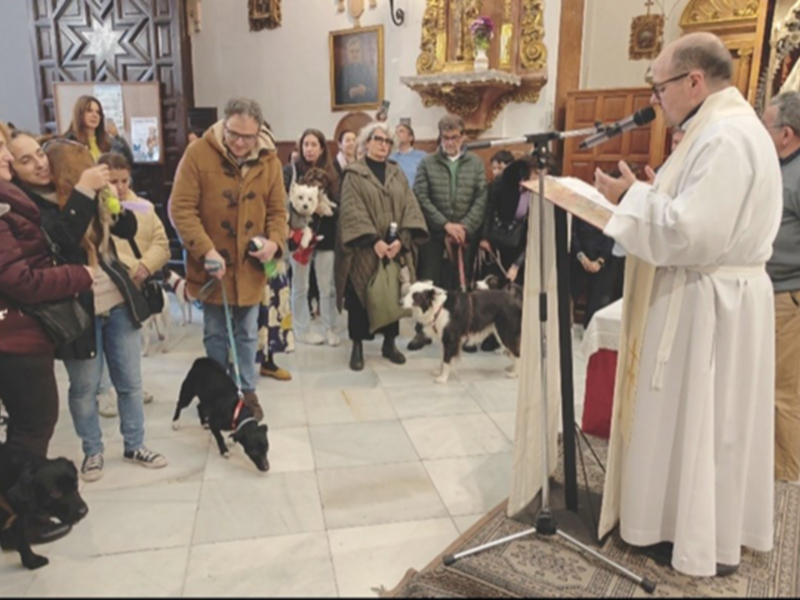 Celebración religiosa con personas y perros en una iglesia, presidida por un sacerdote.
