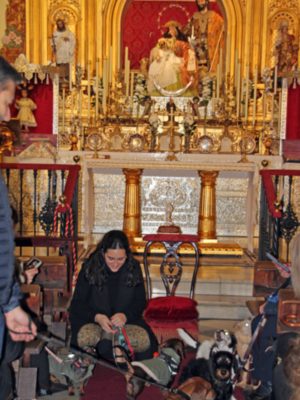 Bendición de mascota por San Antonio Abad en la capilla de la Pastora de Sta. Marina de Sevilla