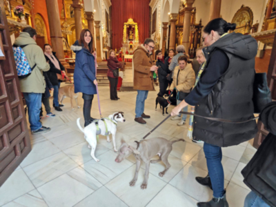 Los animales de compañía toman el atrio de la parroquia de San Roque por San Antón.