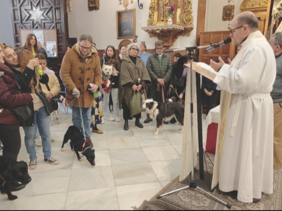  Los animales de compañía toman el atrio de la parroquia de San Roque por San Antón.