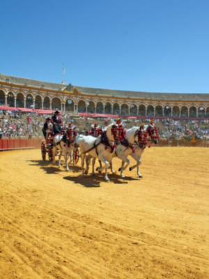 XXXVIII Exhibición de enganche de Sevilla 2024