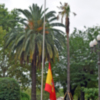 Izado Solemne de Bandera en la Capitania General de Sevilla con motivo del X Aniversario de la Proclamación de S. M. el Rey Felipe VI