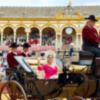 Respuesta ejemplar de participantes y público sevillano al cambio de fecha de la 39ª Exhibición de Enganches de la Feria de Sevilla