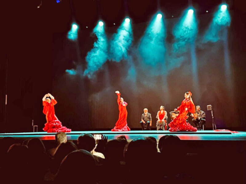 La pureza del flamenco brilla en una gala solidaria que emociona Sevilla