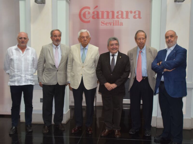 El Observatorio de Infraestructuras de Sevilla advierte del retraso y encarecimiento de las grandes obras en la provincia