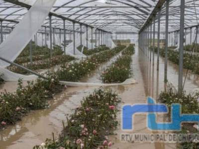 COAG Andalucía exige al Ministerio aclarar de forma urgente cómo calcular los daños para acceder a las ayudas por las borrascas