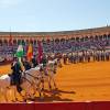 “La 40ª Exhibición de Enganches rinde homenaje a Ronda y a la tradición ecuestre en Sevilla”