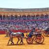 Ronda homenajeada en un desfile de elegancia y caballos que ilumina la Maestranza de Sevillana