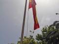 Sevilla honra a los caídos en un solemne acto de la Capitanía General por el Día de las Fuerzas Armadas 2026 