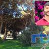 Tano Guzmán: La Romería del Pinar debe ser un ejemplo de respeto a nuestro entorno natural