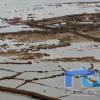 Un bando municipal recuerda la normativa de protección de los corrales de pesca y advierte de sanciones por incumplimiento