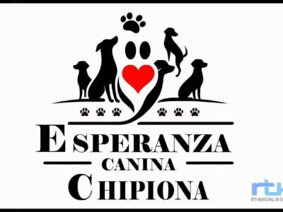 Esperanza Canina hace un nuevo llamamiento a la colaboración ciudadana ante la falta de pienso para los perros de su refugio