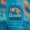 ‘Aquí salvamos tortugas’, cuando la educación ambiental llega a la playa de Chipiona