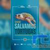 En Chipiona salvamos tortugas marinas