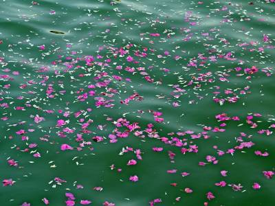 La Virgen del Carmen de Calatrava renueva su histórica procesión fluvial por el Guadalquivir en una emotiva jornada de fe y tradición