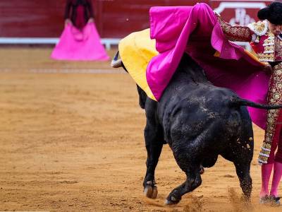 Roca Rey, Aguado y Emilio de Justo en la segunda jornada de la Feria de San Miguel